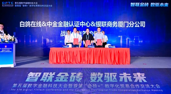 555.jpg